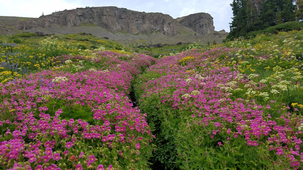 Teton Crest Trail